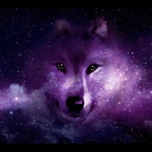 Meet your Posher, Terina